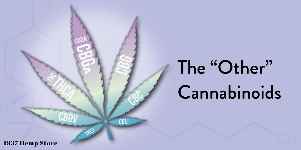 Cannabinoids CBGa, CBG, CBC, CBV, THCA