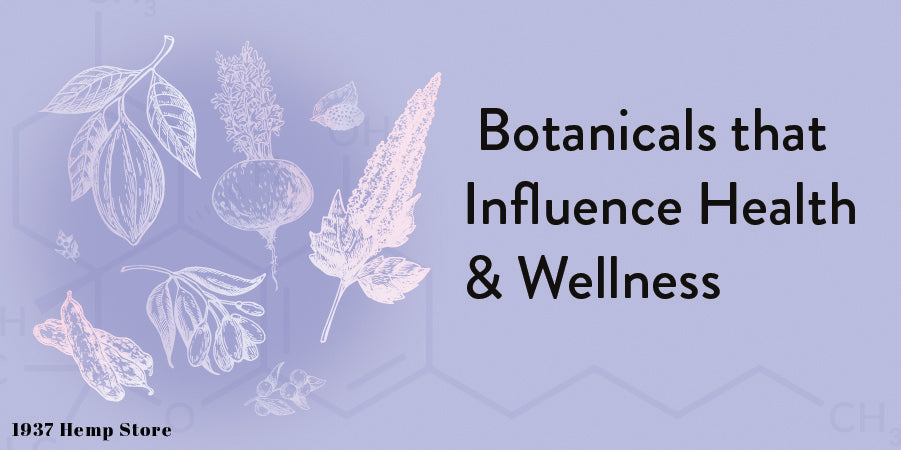 Botanicals for Health and Wellness