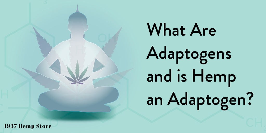 What Are Adaptogens and Is Hemp an Adaptogen
