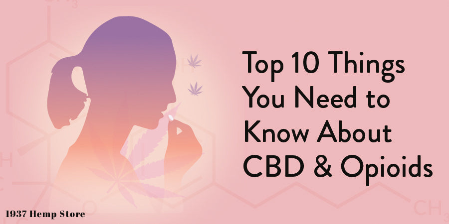 Top 10 Things You Need to Know About CBD & Opioids
