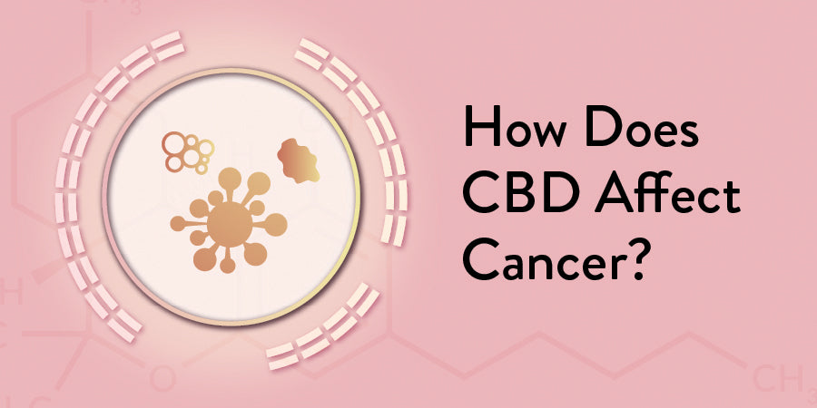 CBD affect Cancer