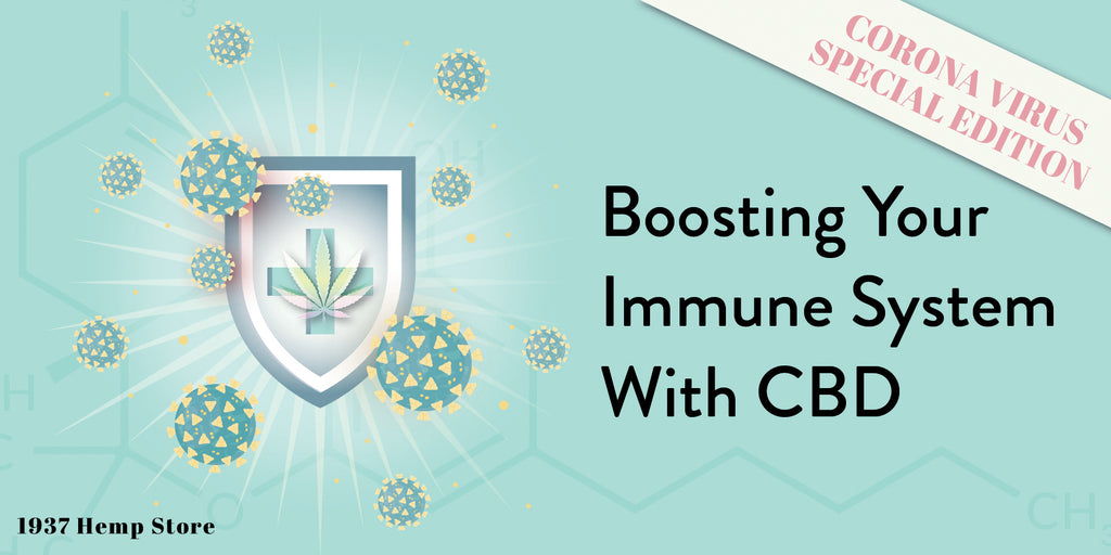 Boosting Your Immune System with CBD: Coronavirus Edition