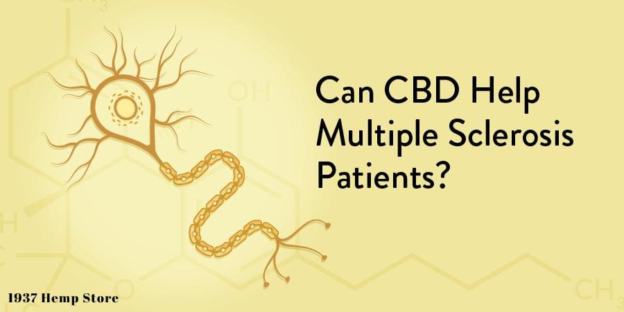 Can CBD Help Multiple Sclerosis Patients?