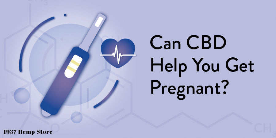 CBD and pregnancy