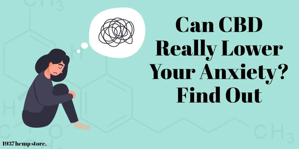 Can CBD Really Lower Your Anxiety? Find