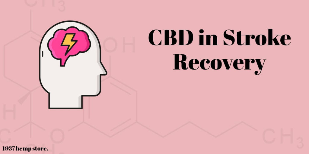 CBD in Stroke Recovery