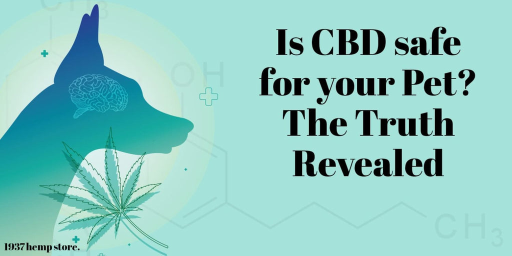 Is CBD safe for your Pet? The Truth Revealed