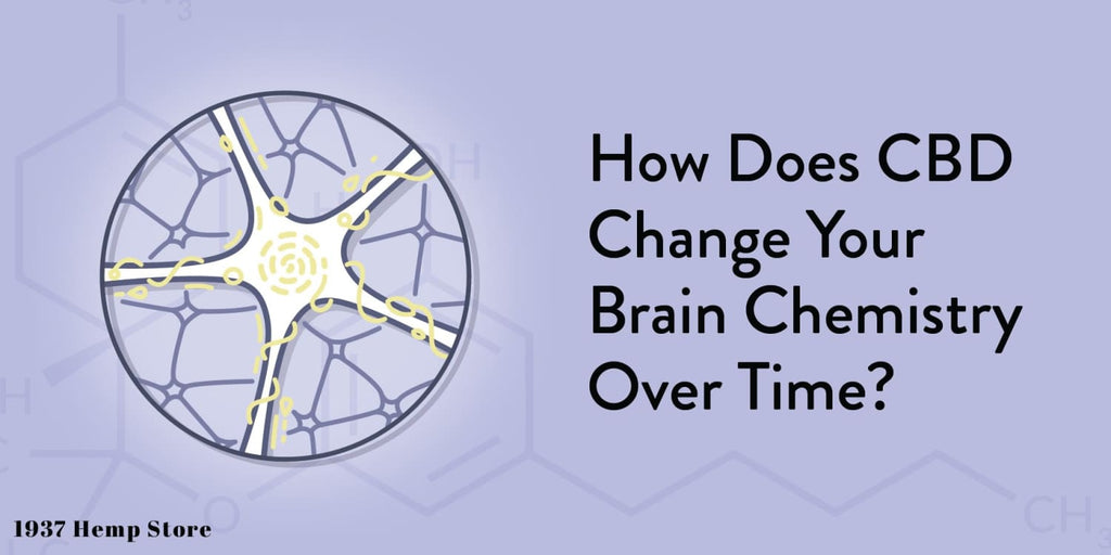 How Does CBD Change Your Brain Chemistry Over Time?