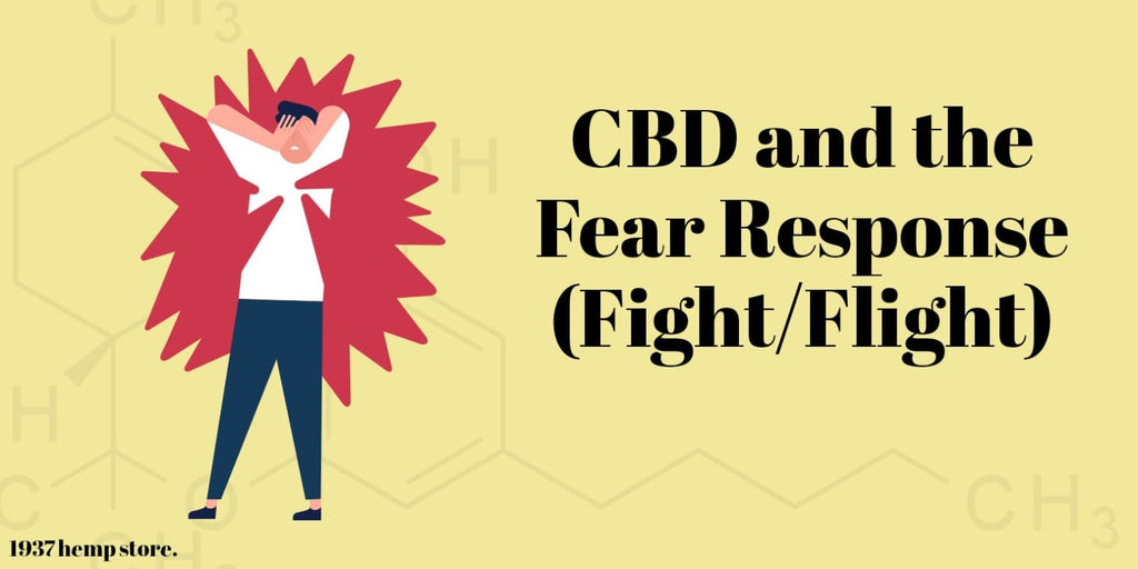How to Balance Your Fight-or-Flight Response With CBD
