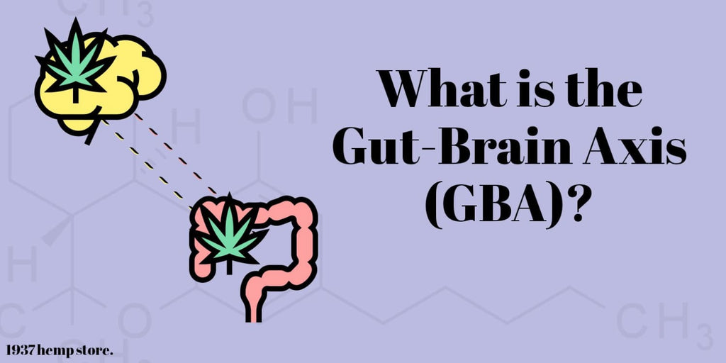 What is the Gut Brain Axis (GBA)