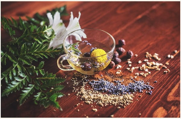 What Are Adaptogens and Is Hemp an Adaptogen?
