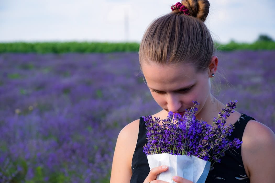 What Are Terpenes and What do They Have to do With CBD?