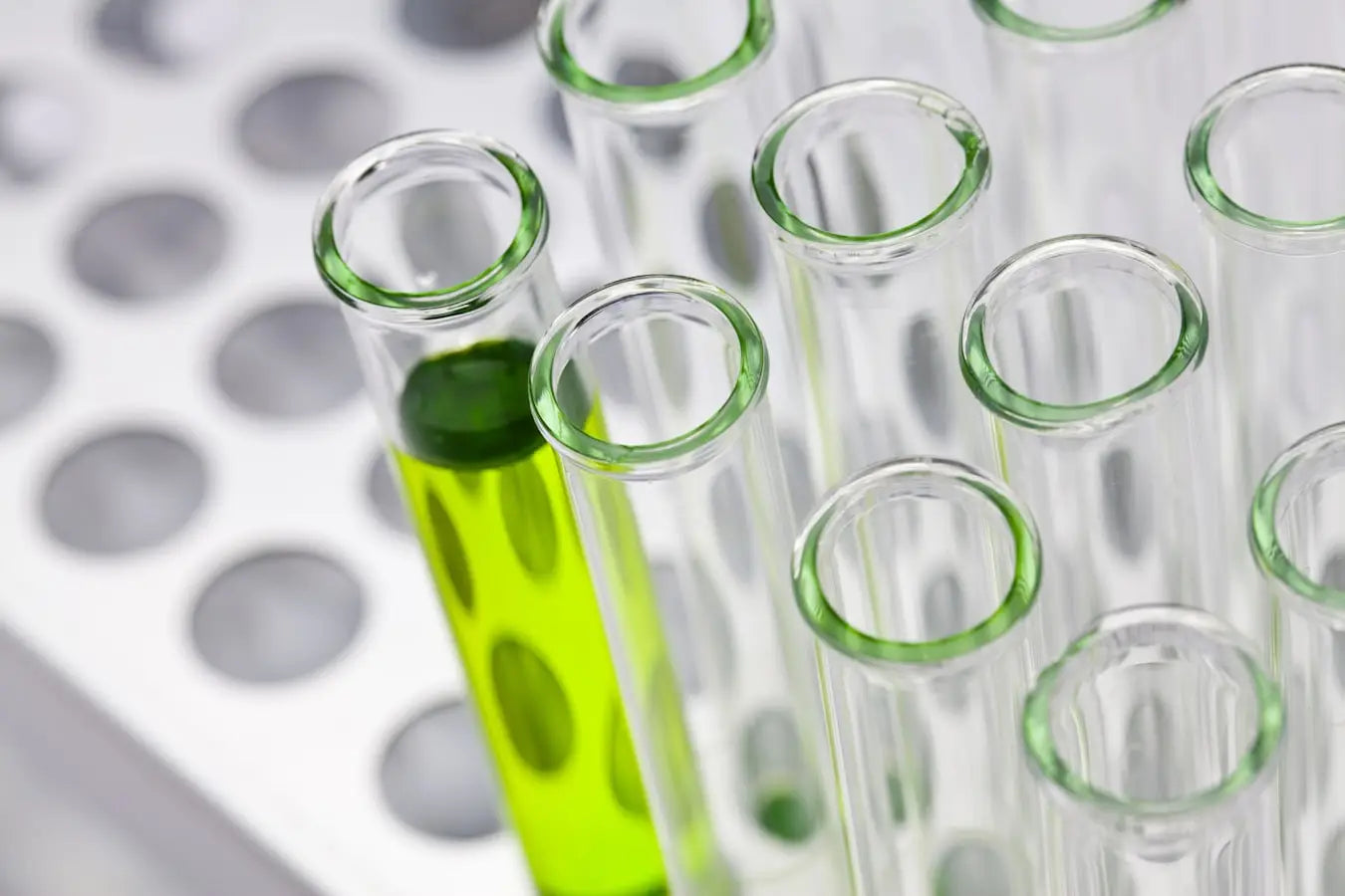 The ’Other’ Cannabinoids