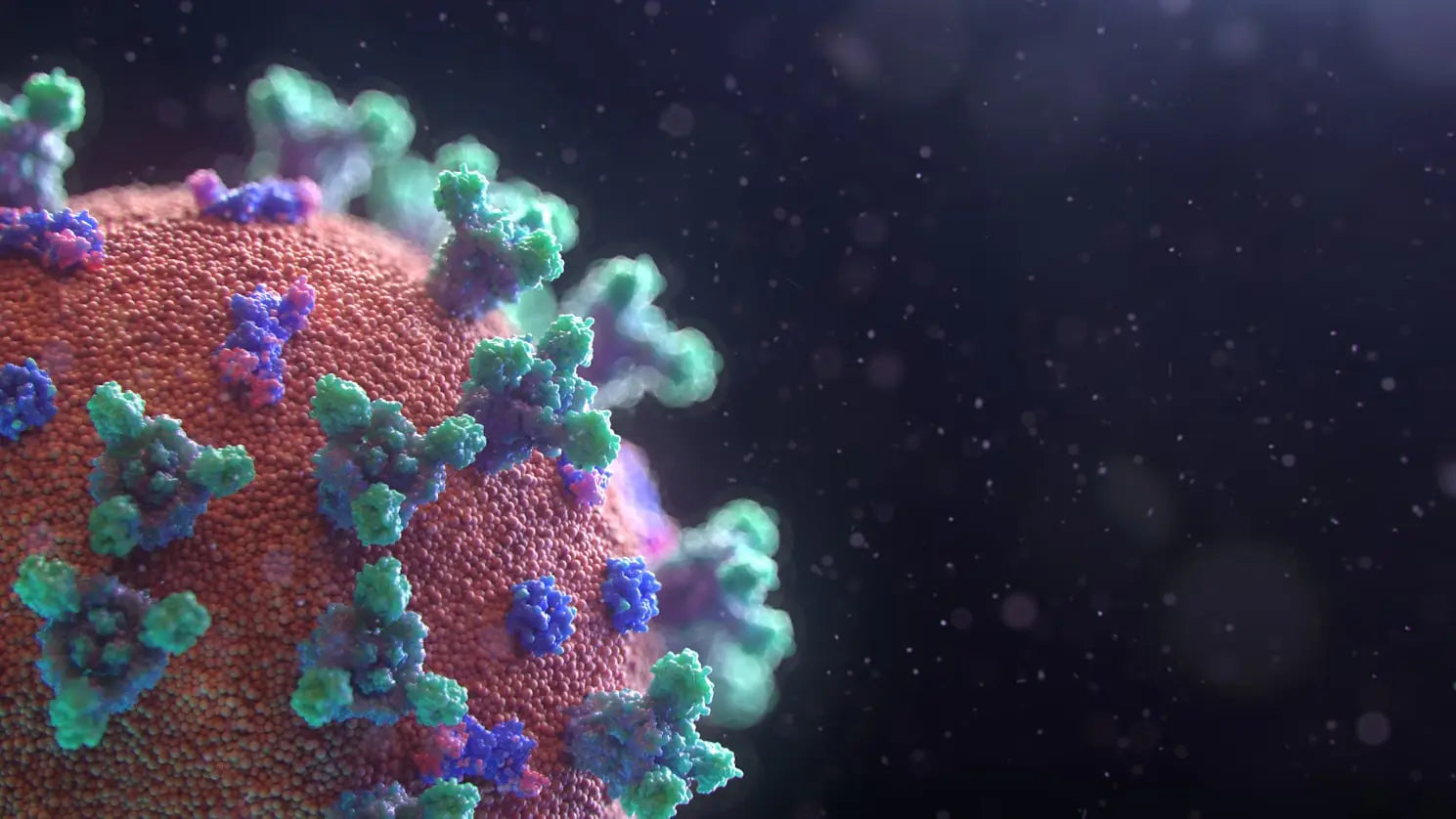 Boosting Your Immune System with CBD: Coronavirus Edition