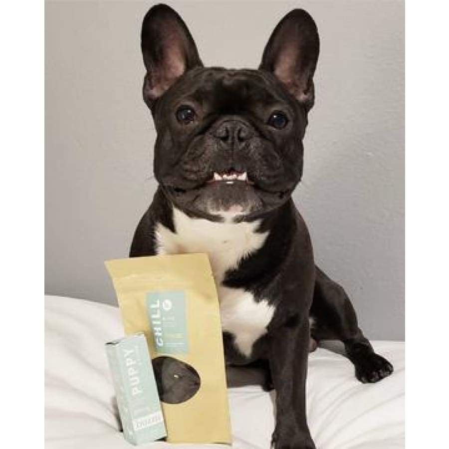 Buzzn | Chill Bites for Pets (30ct 60mg) - CBD Pets